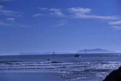 DSC_0859 (Large).JPG